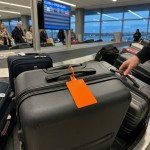 Gartful 6Pcs Plastic Seals Shipping Label Tags, Writable Marker Big Sign Tie for Logistics, Self Locking Inventory Waterproof Tag Fastener